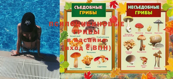 соль ск Алзамай