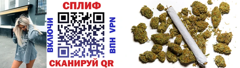 блэк спрут tor Алушта Канабис гибрид